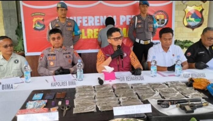 Polisi Tangkap Pelaku Penanam Ganja di Bima