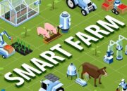 Tim Mahasiswa UNM Raih Dana Hibah P2MW 2025, Usung Inovasi Pakan Hewan Ramah Lingkungan ke Panggung Nasional