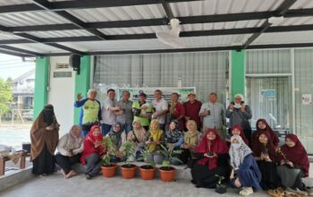 Program Dospulkam IPB 2026 Hasilkan Panen Sayuran, Dorong Ketahanan Pangan Warga Bogor